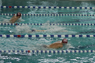 爱游戏app下载-中国游泳运动员世锦赛接力项目表现抢眼，中国游泳接力夺金